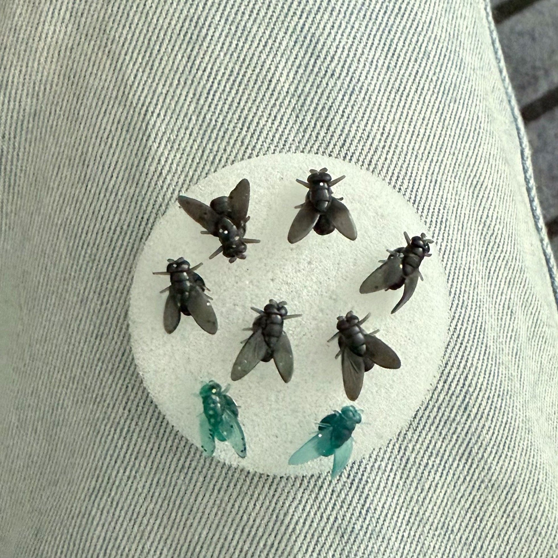 Simulation Mini Black Small Fly Unique Earrings New Simple